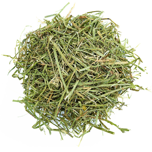 Alfalfa Hay