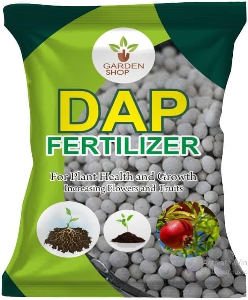 DAP fertilizer