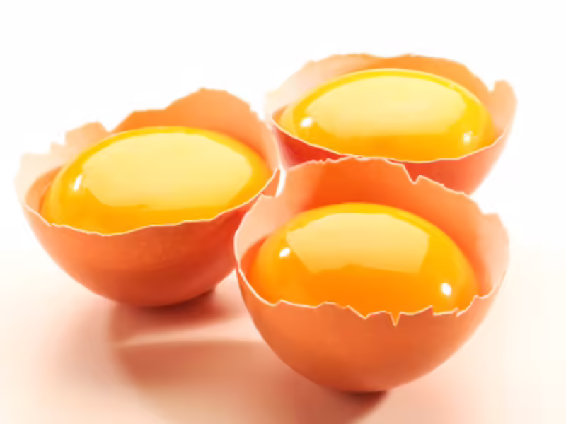 Golden Egg Yolk