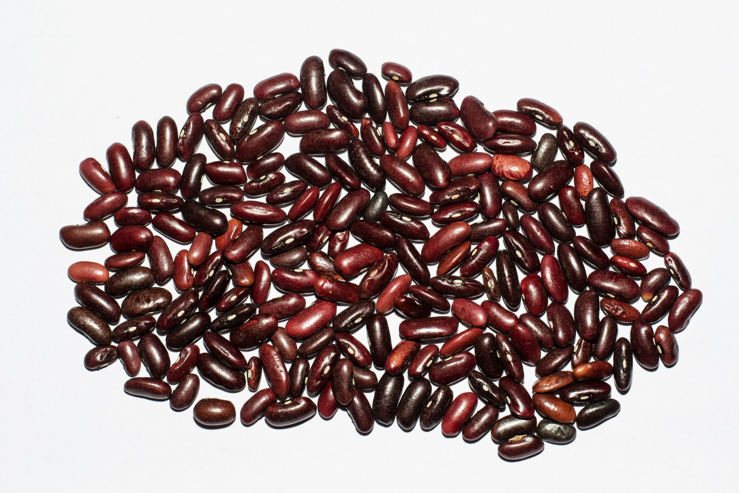 Premium Kidney Beans