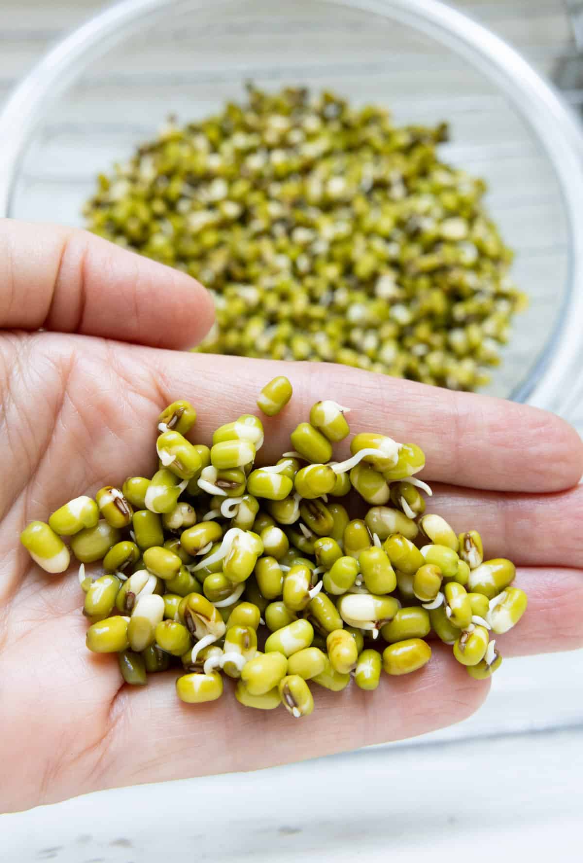 Premium Mung Beans