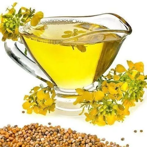 Canola edible oil bulk
