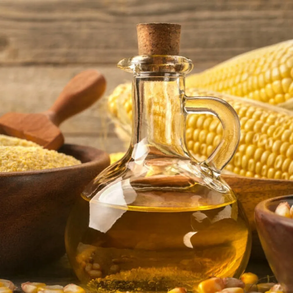 Corn oil wholesale