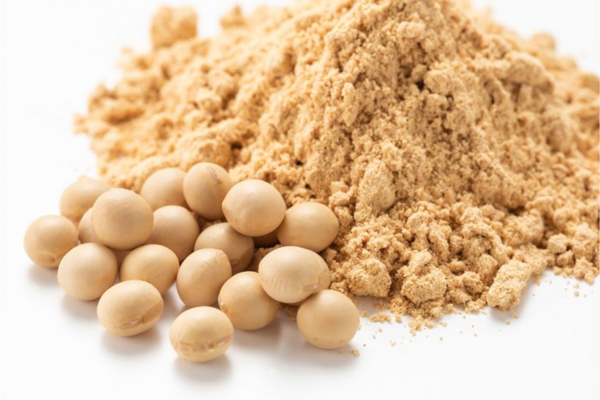 Premium Soybean Meal
