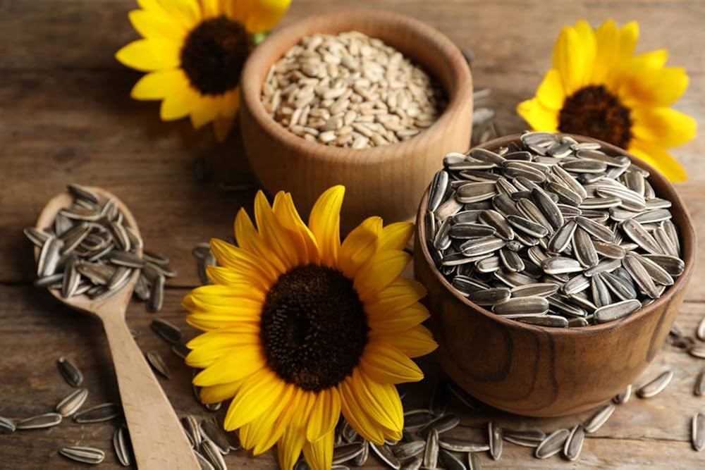 Sunflower Seed wholesale supplier