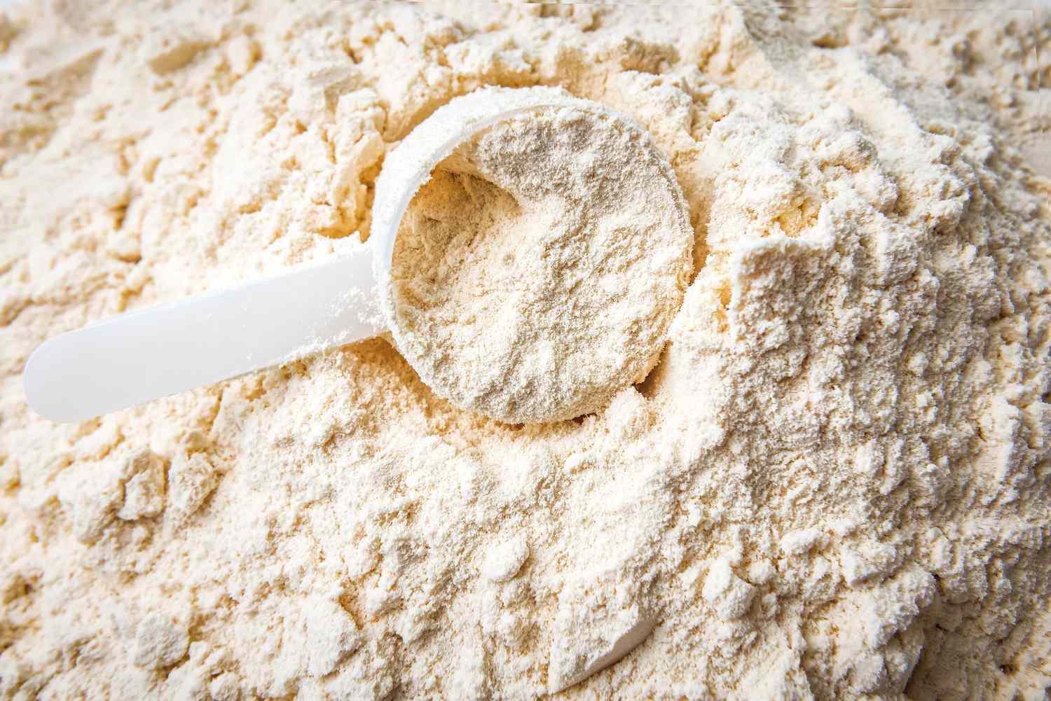 Bulk Whey Powder product