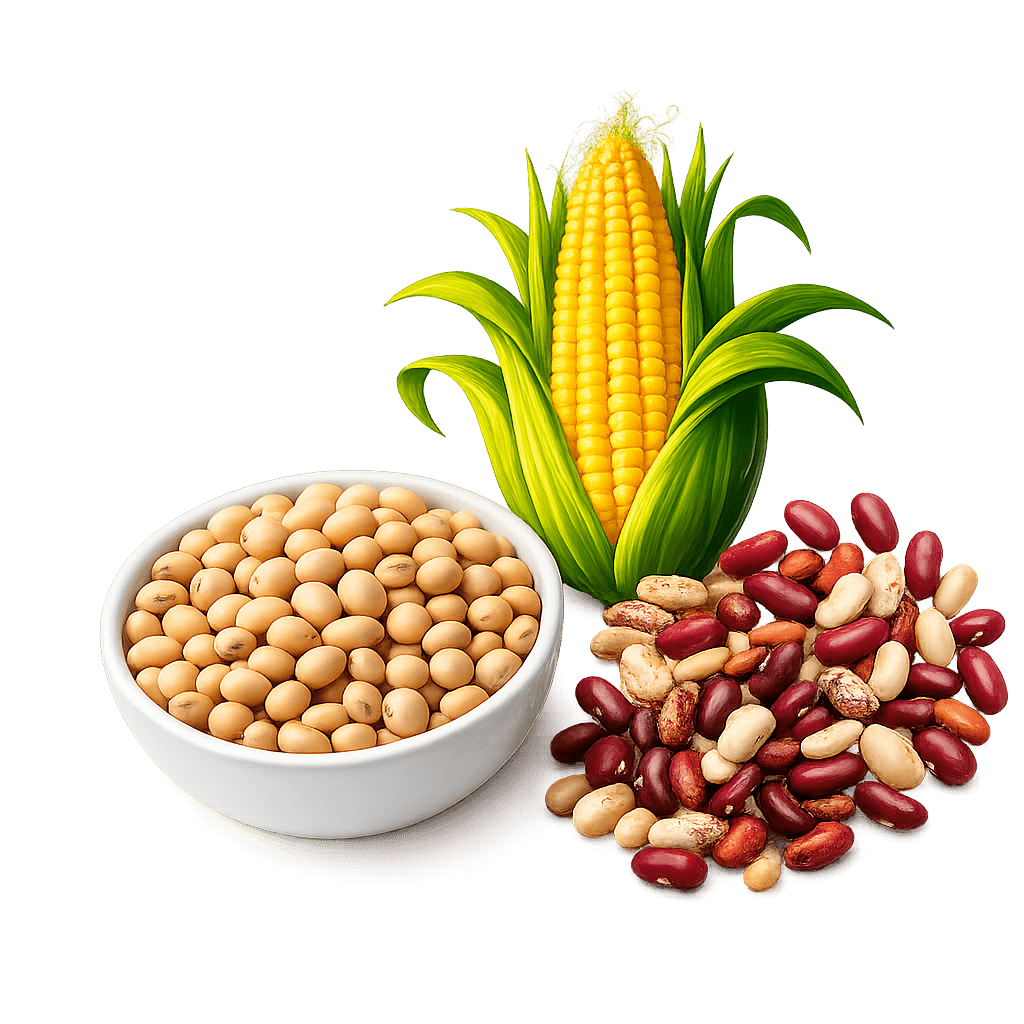 Grains and Oilseeds
