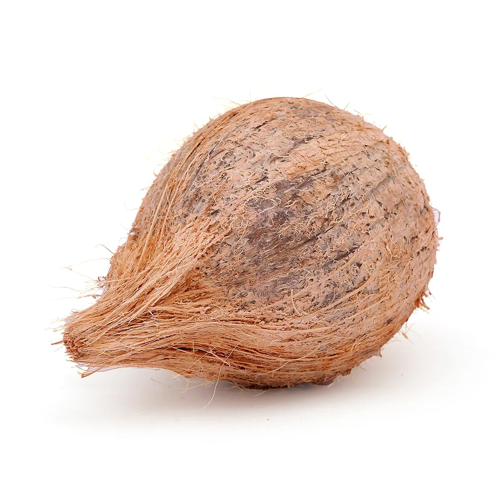 Coconut
