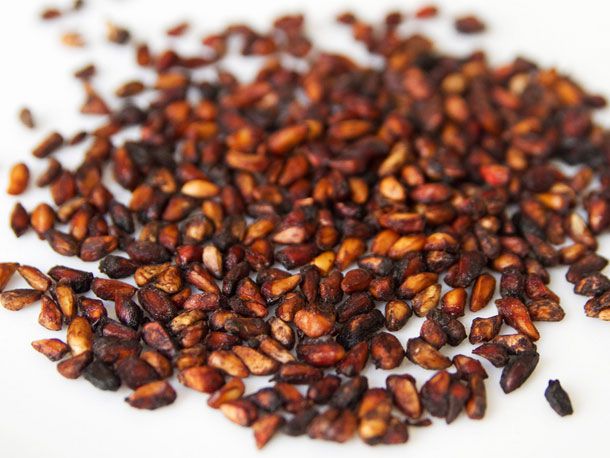 Pomegranate Seed