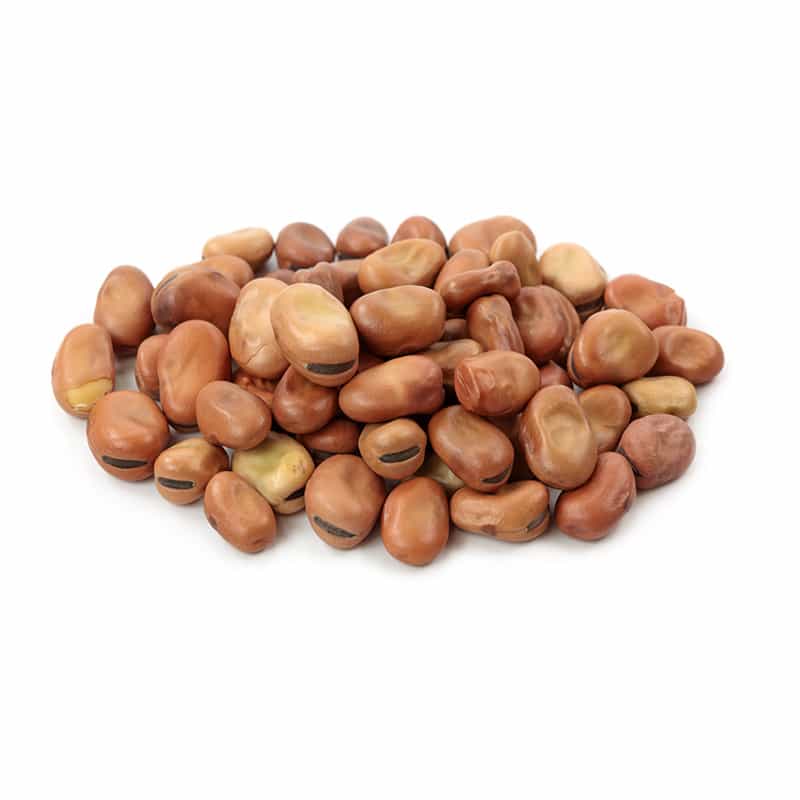 Fava Beans